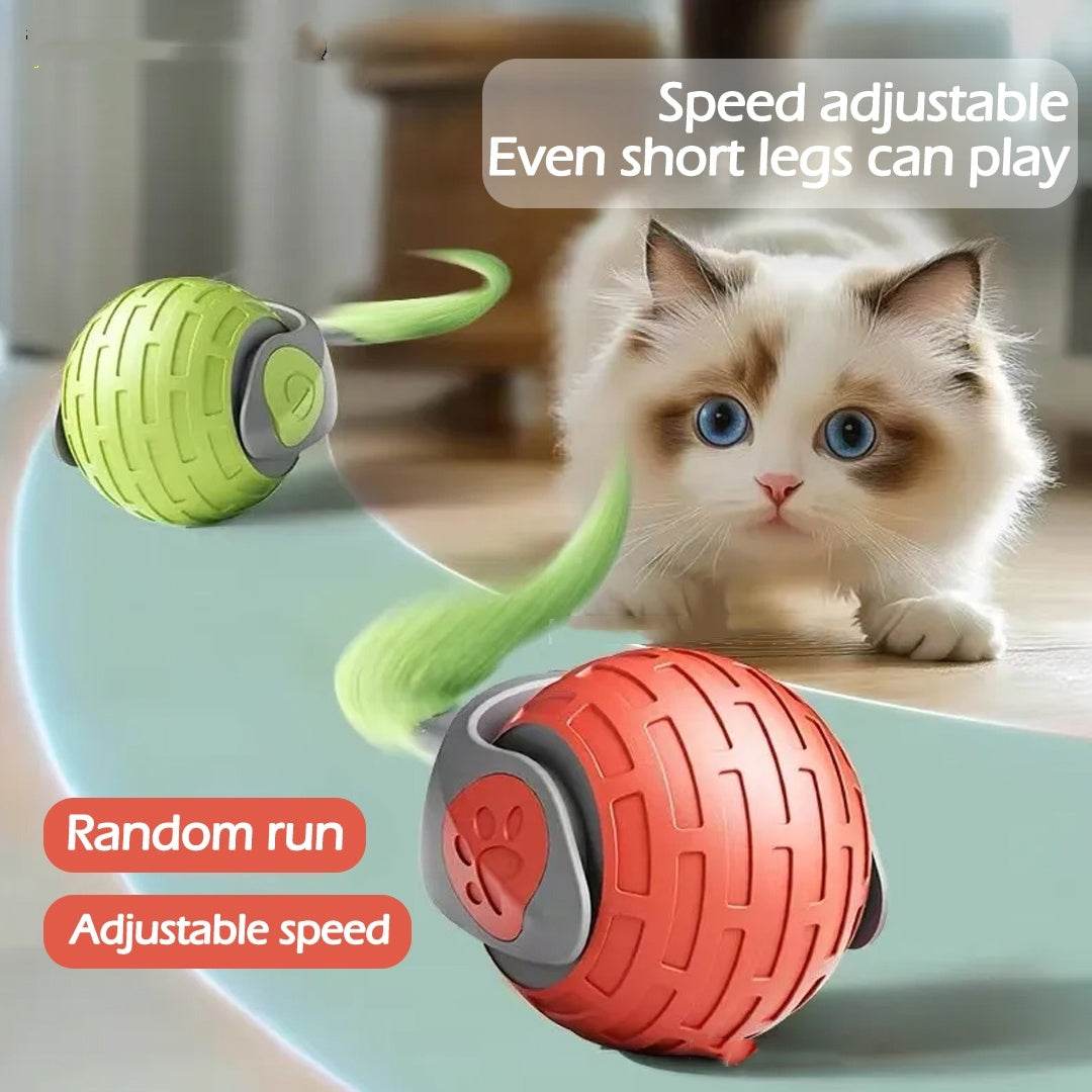 Interactive Cat Toy Ball - USB Rechargeable Auto Rolling Ball - G-daat
