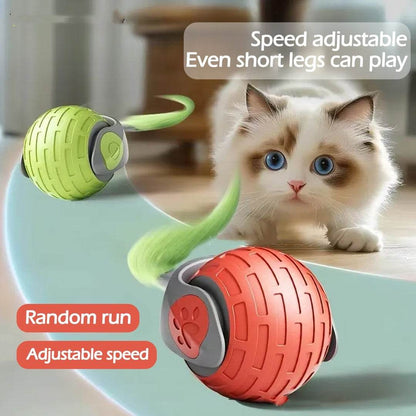 Interactive Cat Toy Ball - USB Rechargeable Auto Rolling Ball - G-daat