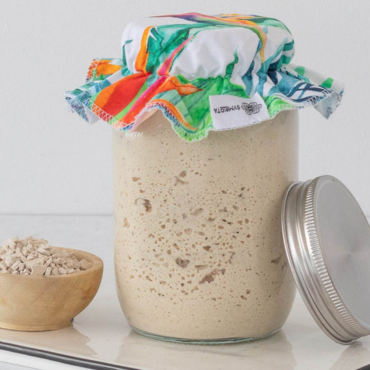 Organic Gluten-free Sourdough Starter Kit - G-daat