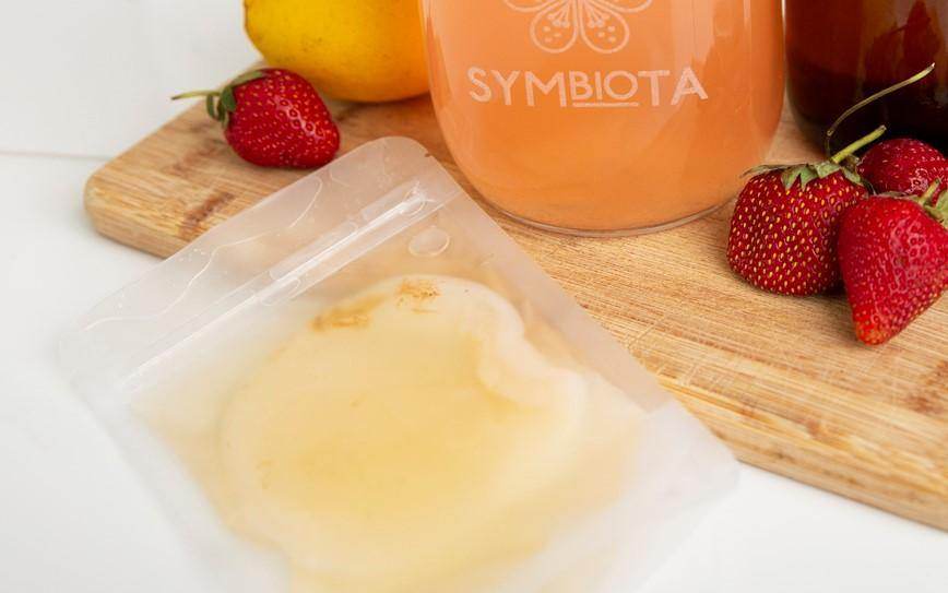 JUN kombucha SCOBY (Organic) - G-daat