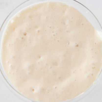 Organic Sourdough Starter - G-daat