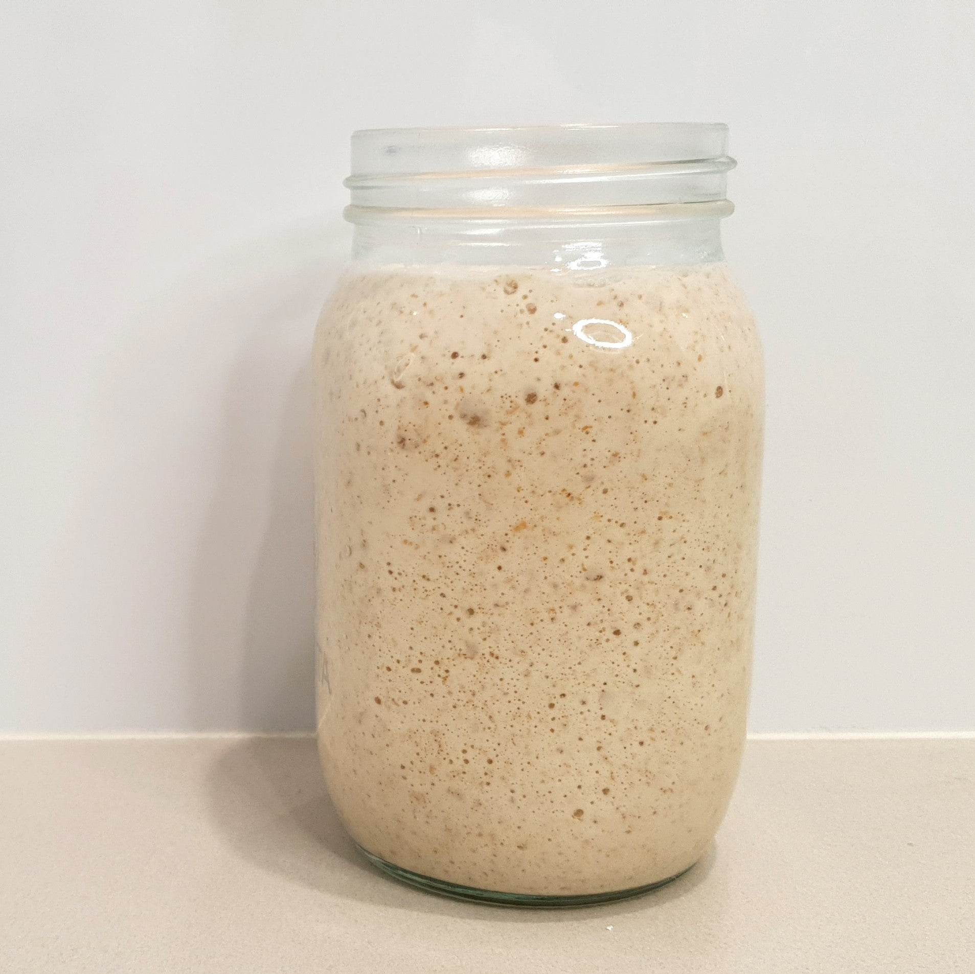Organic Sourdough Starter - G-daat